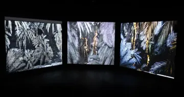 Image of Noémie Goudal & Maëlle Poésie - Anima